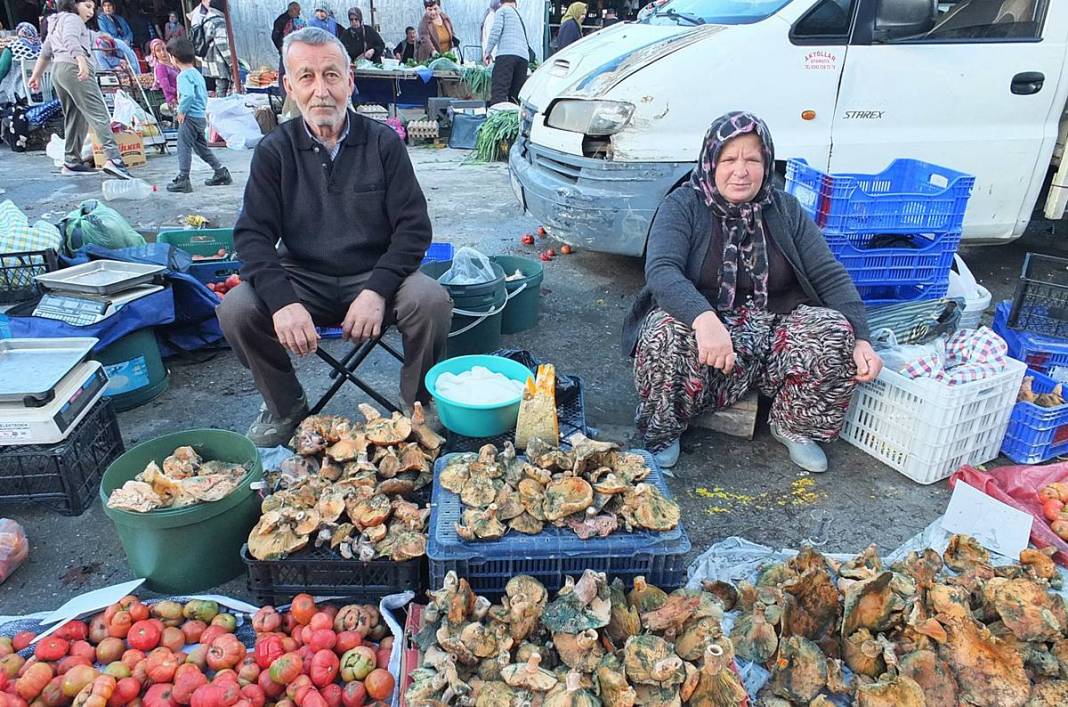 Dağlardan bereket fışkırdı, köylünün yüzü güldü! Kilosu 100 TL'ye kadar düştü 21